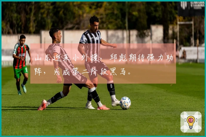 山东迎来小外援，邱彪期待强力助阵，或成第二阶段黑马。